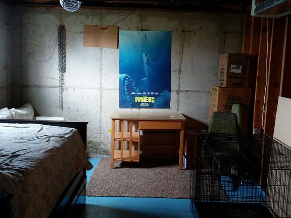 Unfinished basement room.