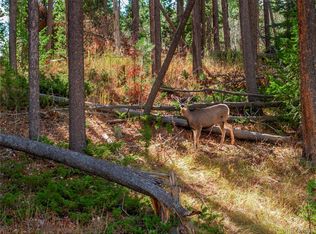 216620 Indian Springs Rd, Conifer, CO 80433