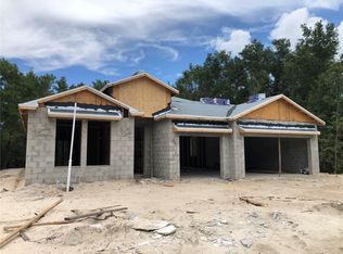 12927 Seronera Valley Ct, Spring Hill, FL 34610