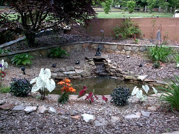 Tranquil pond to sit and relax by