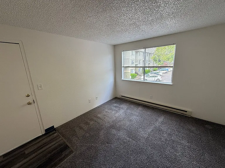 Ashwood Apartments — Photo 19