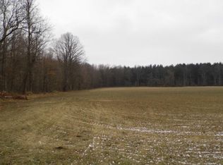 Farnsworth Rd, Lapeer, MI 48446