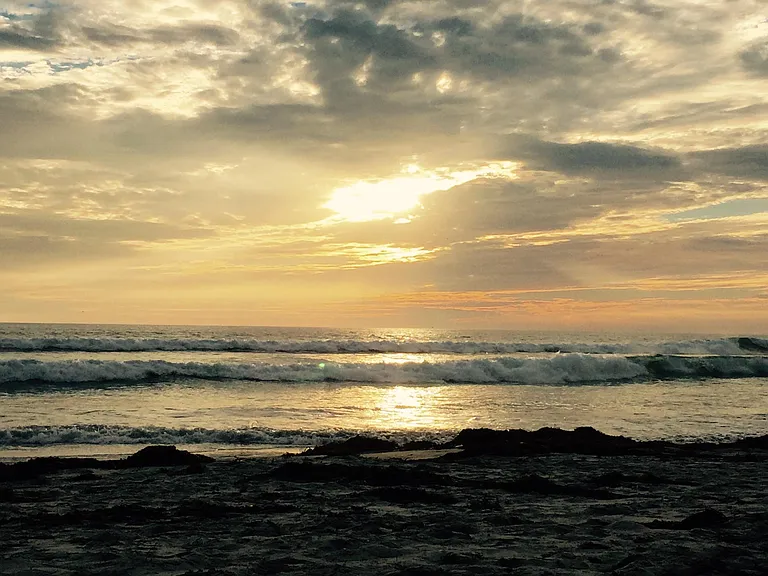 Encinitas Blvd — Photo 8