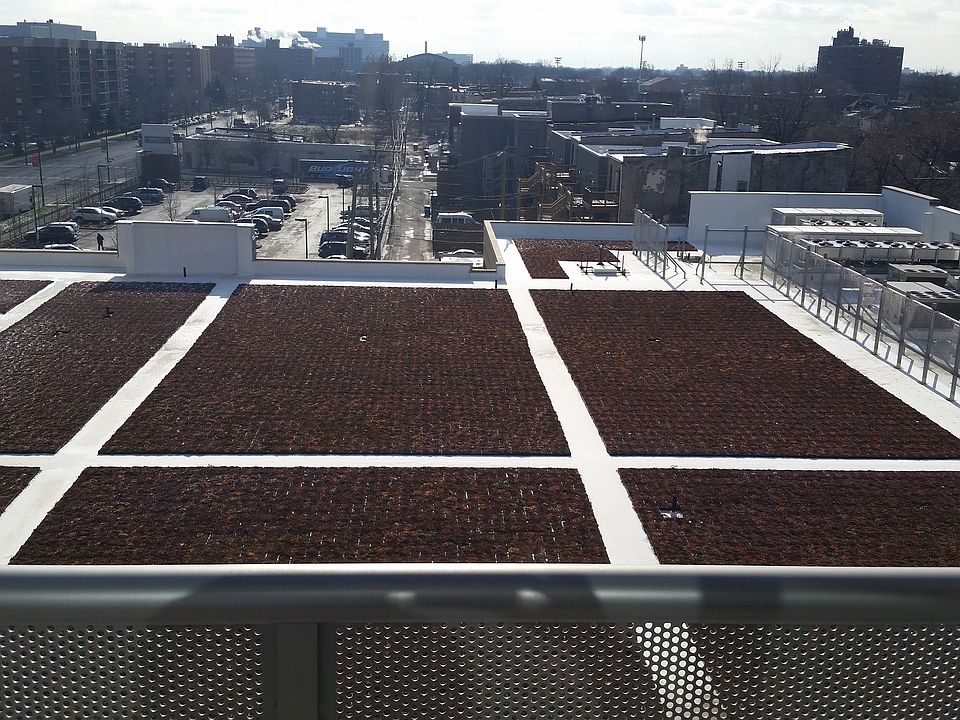 Rooftop Garden View
