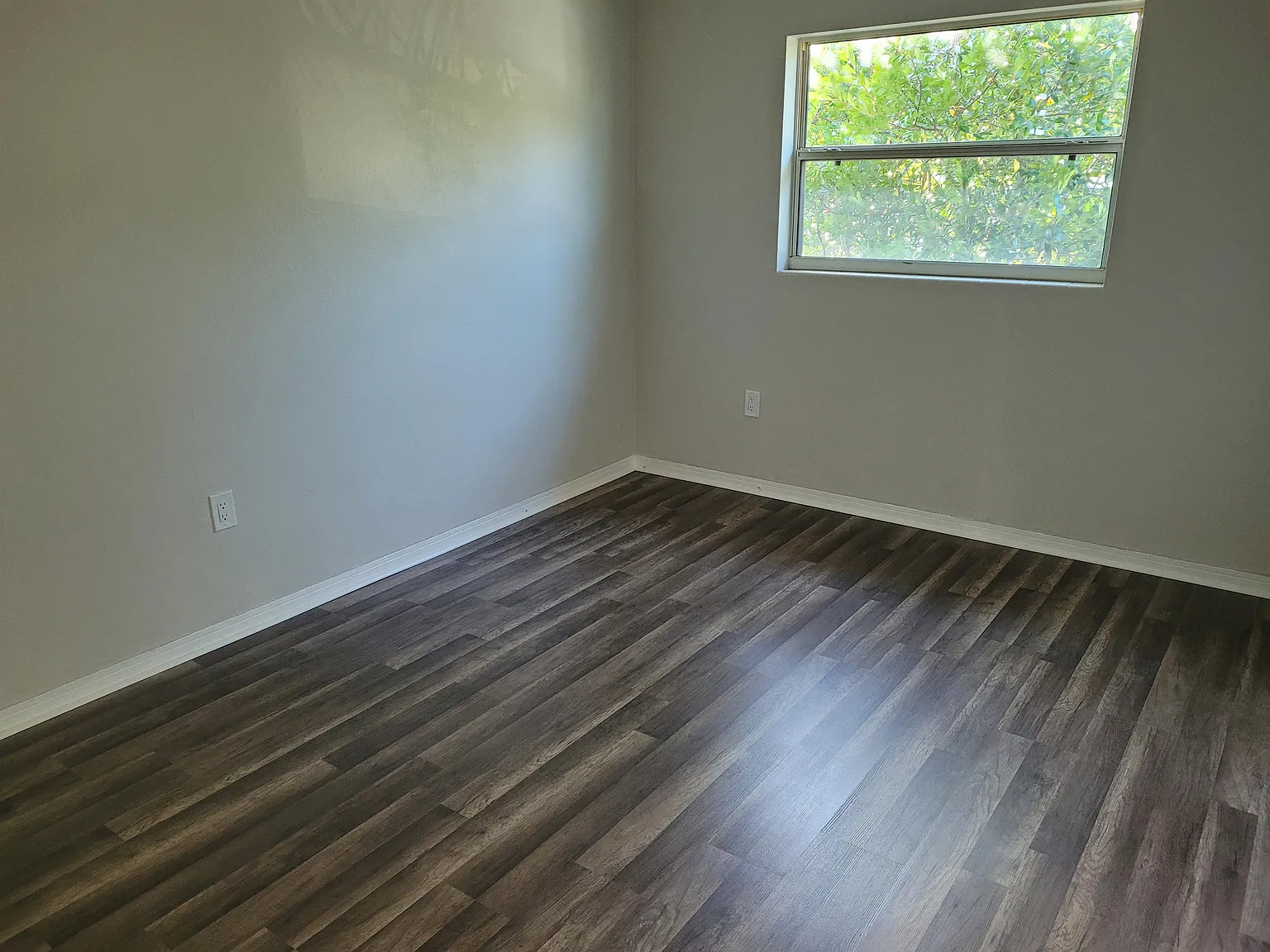 130 Bouganvillea - 8 — Photo 4