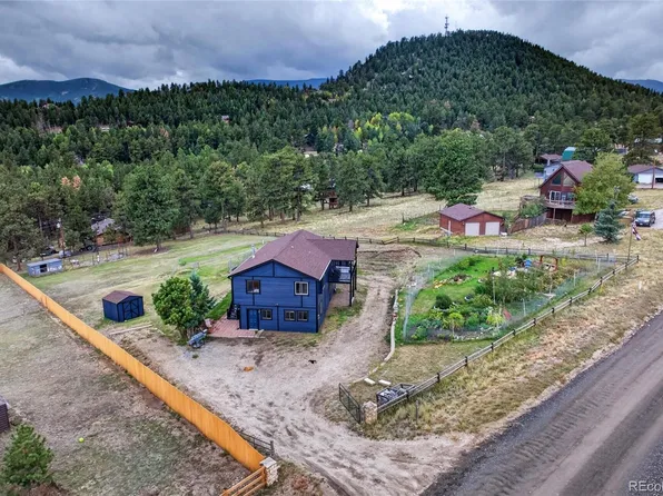 196 Conifer Drive, Bailey, CO 80421