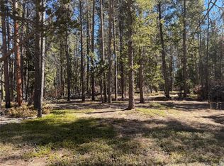 LOT 14-14X Wallace Ave, Conifer, CO 80433