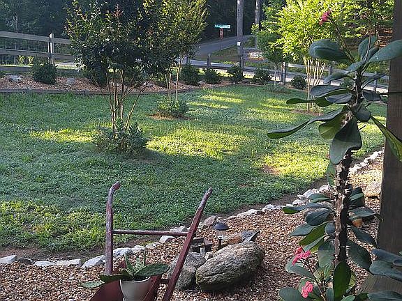 Landscaped front yard