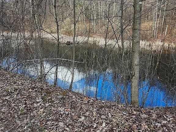 2nd image of 0 Saint Lawrence Rd