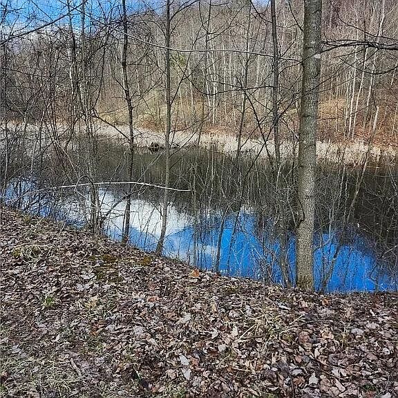 2nd image of 0 Saint Lawrence Rd