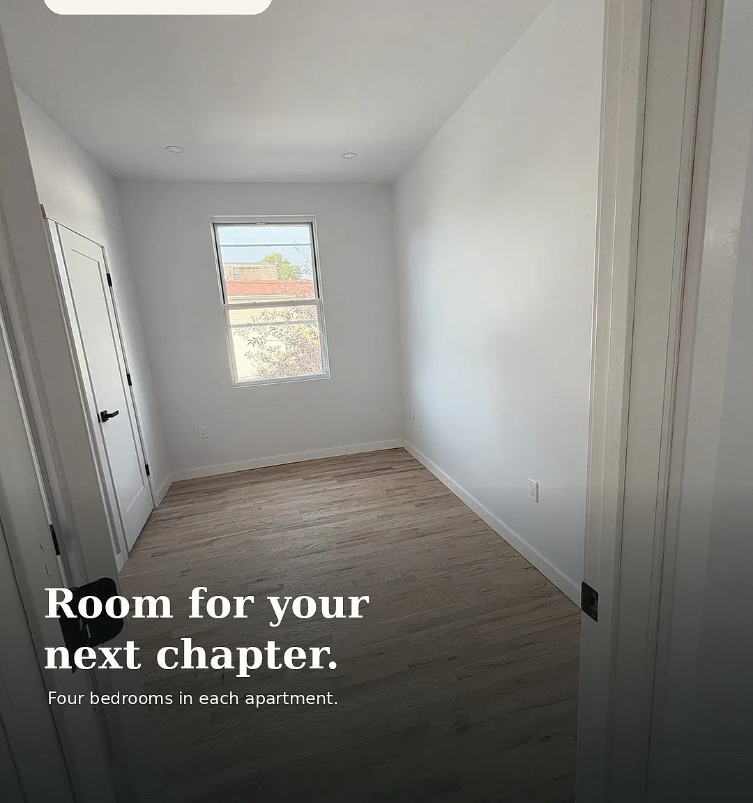 4 bed, 1100 sqft, $4,000 — Photo 3