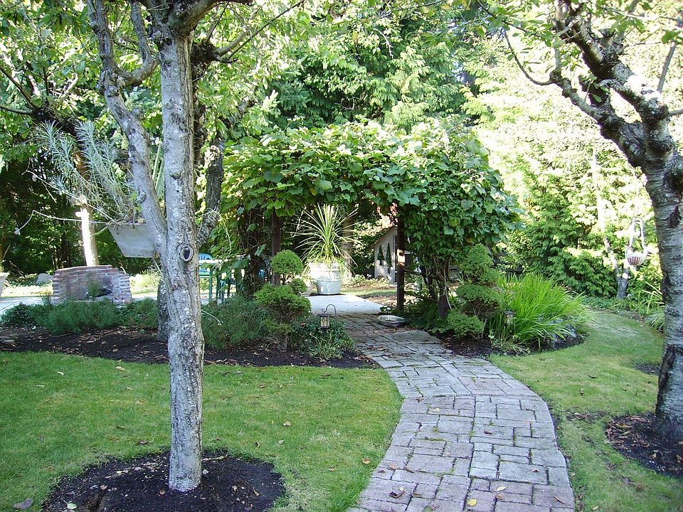 Side yard/grape arbor