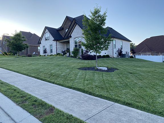 5th image of 602 Tamland Ave
