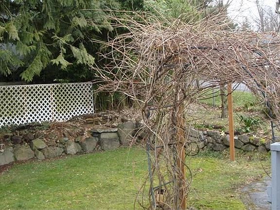 fully fenced year yard. Wisteria will bloom soon with a burst of color& scent