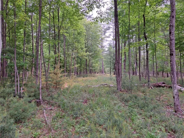 0 Hardy Rd, Wilmington, NY 12997