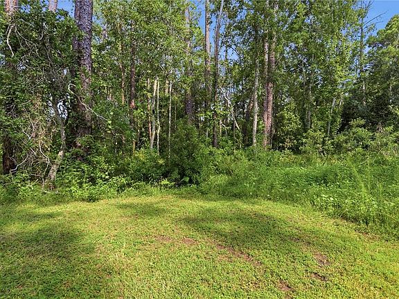 4th image of 1800 OLD DAYTONA ROAD LOT 2
