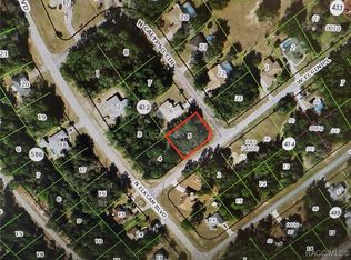2917 W Elgin Pl, Citrus Springs, FL 34434
