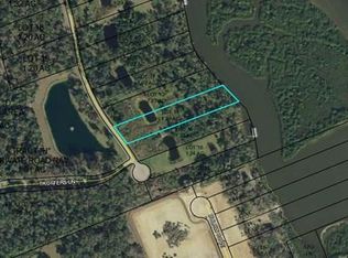 62 Trotters Ln, Flagler Beach, FL 32136