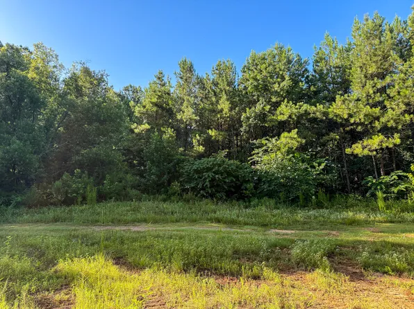 275 / J M Burge Rd, Hattiesburg, MS 39402