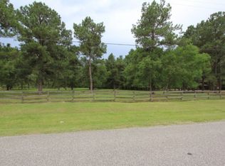525 Morris Rd W, Sour Lake, TX 77659