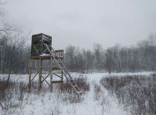 1790 E Brushaber Rd, Beaverton, MI 48612