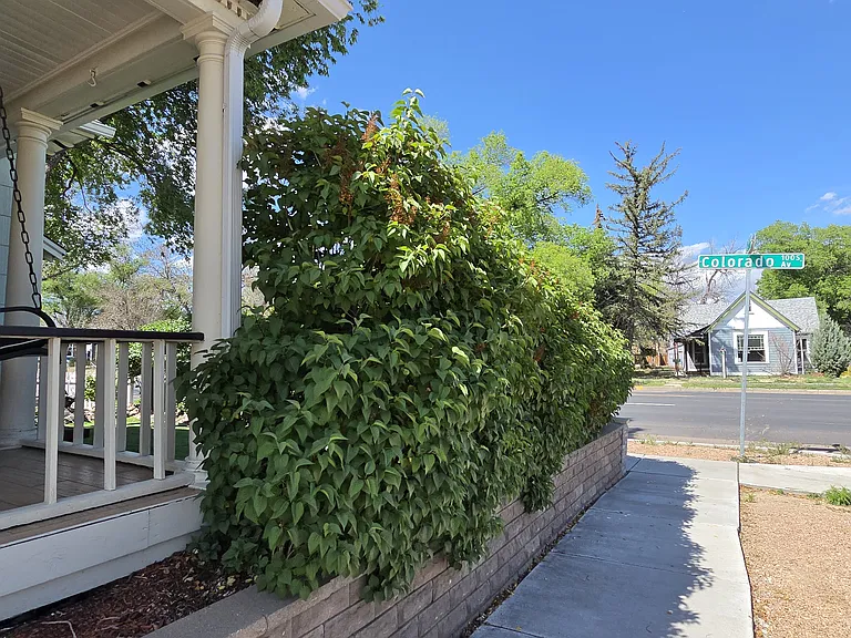 1801 W Colorado Ave — Photo 55