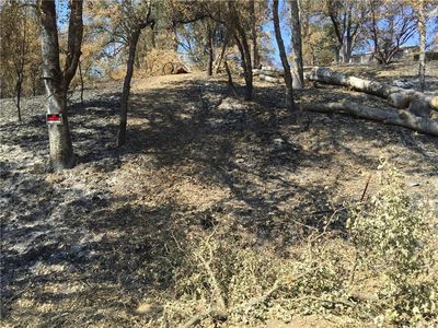 17103 Big Bear Rd, LOWER LAKE, CA, 95457