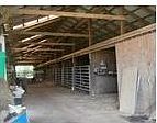 3rd image of 445 Bob Johnson Ln