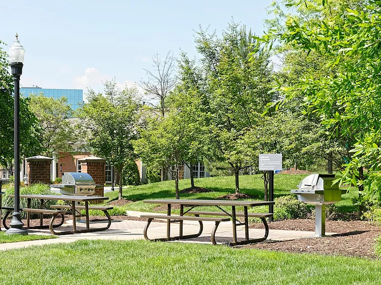 Landscaped courtyard with barbecue grills and picnic area