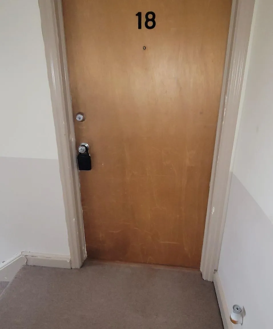 1 bed, 800 sqft, $1,800 — Photo 2