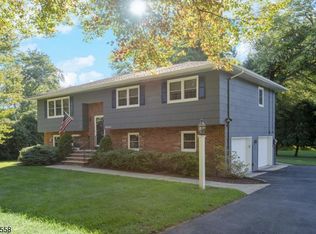 16 Alexander Dr, Randolph, NJ 07869