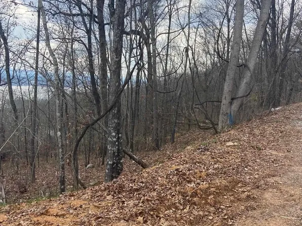 LOT Hummingbird Way, Rainbow City, AL 35906