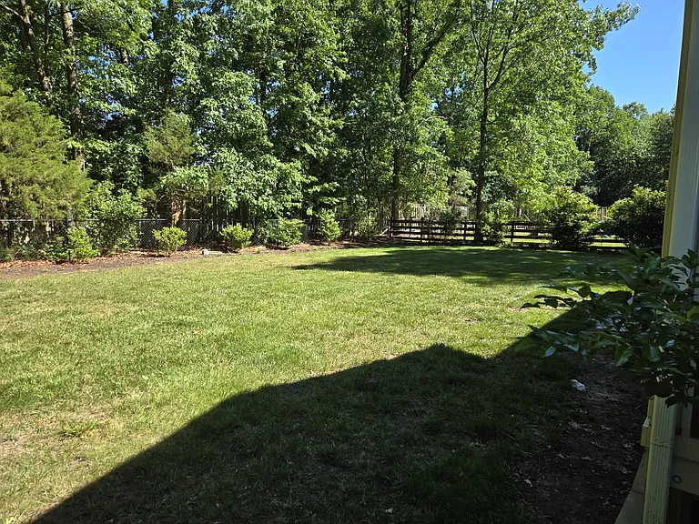 Back yard