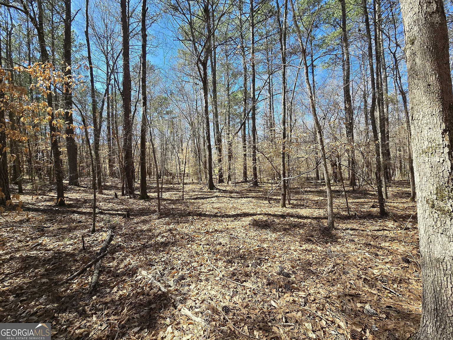 0 River Shoals Ct photo 1