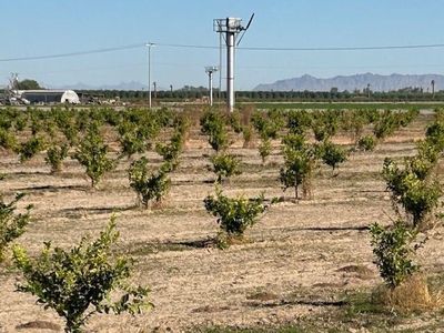 1 S Avenue 1 E, Yuma, AZ, 85365