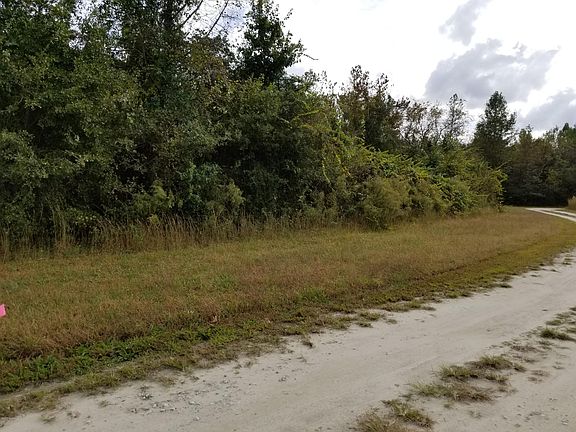 3rd image of 54-25.24 Callie Mills Lane