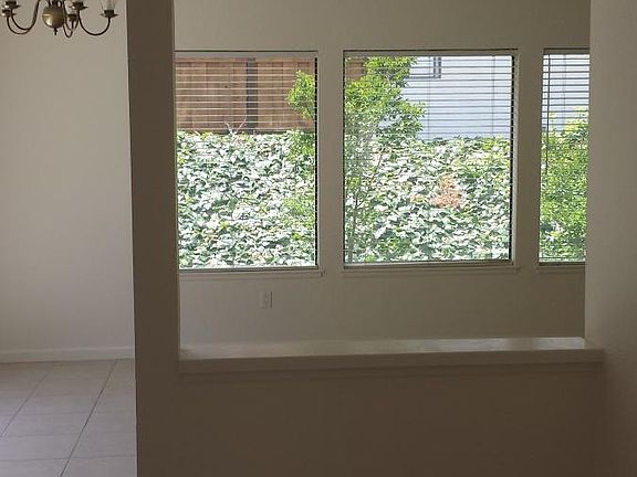 view from kitchen