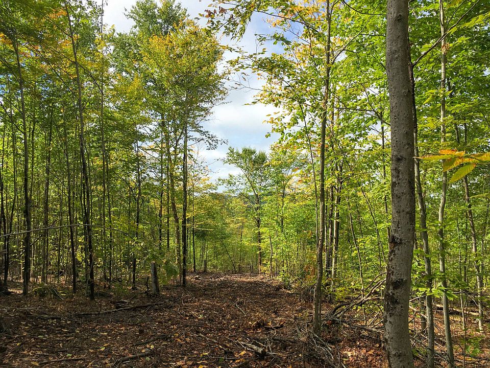 Off Ragged Lake Rd, Owls Head, NY 12969 Zillow