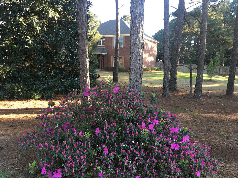 1st image of 118 Wisteria Hill Dr