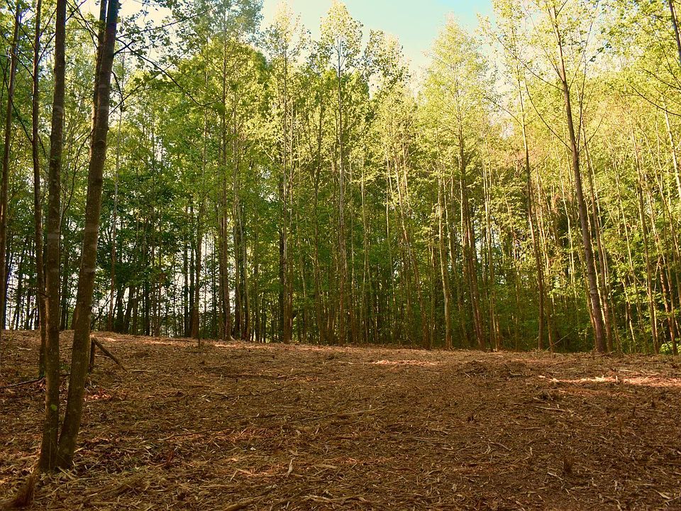 1st image of 0 Hodges Dairy Rd #3
