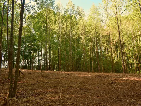 0 Hodges Dairy Rd #3, Yanceyville, NC 27379