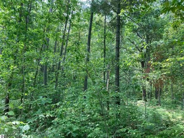 N/a Heath Rd, South Branch, MI 48761