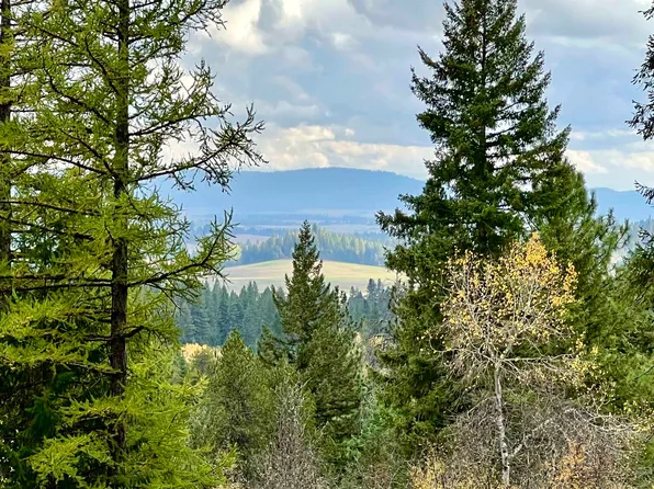 S Starr Rd, Rockford, WA 99030