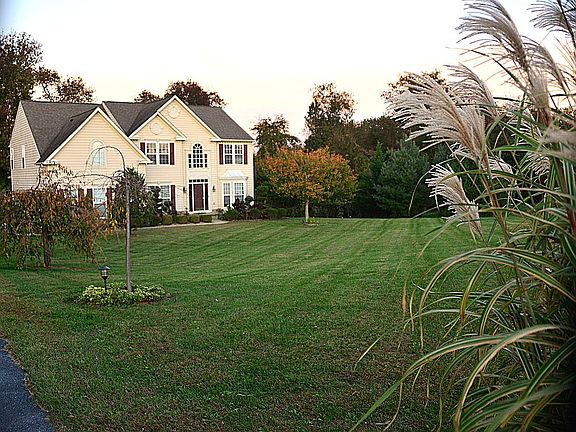 View in early Fall