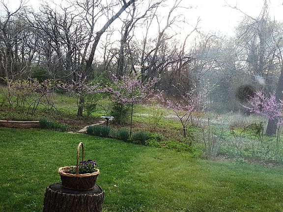 View from master BR