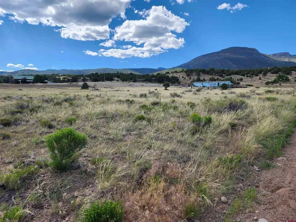 1275 MOHEE RD, South Fork, CO 81154