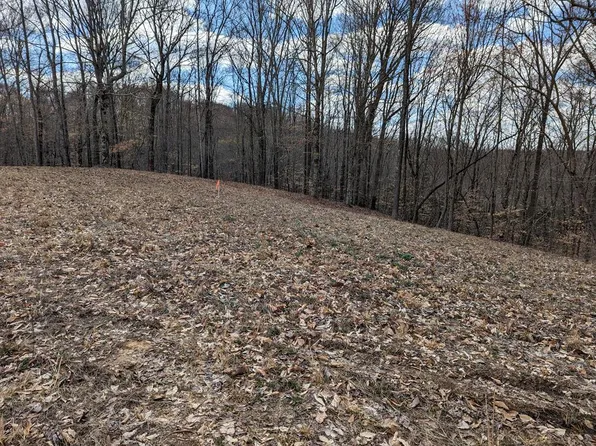 7 Chestnut Hills Rd, Burkesville, KY 42717