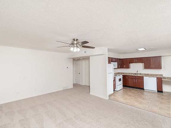Living Area & Kitchen
