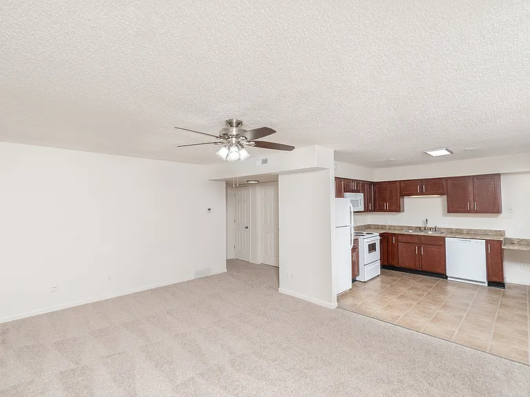 Living Area & Kitchen