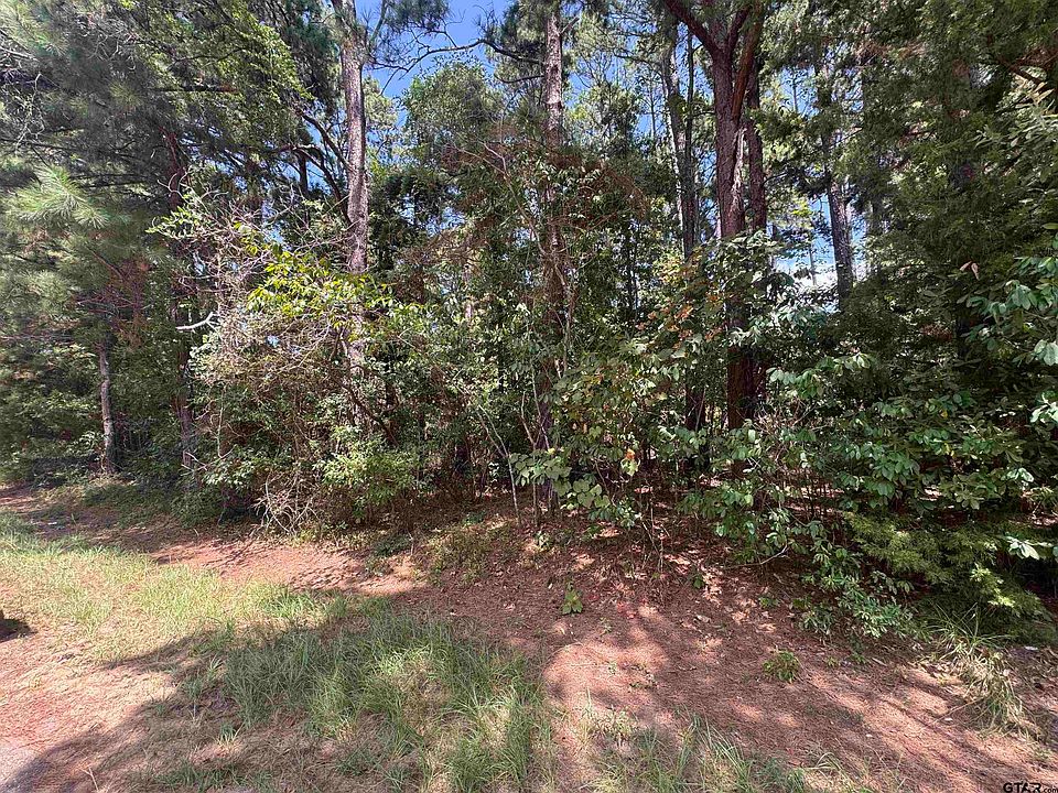 1st image of 352 Neches Dr